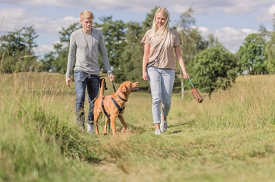 Product image of:TRIXIE PREYDUMMY CANVAS BRUIN