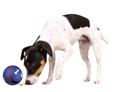Product image of:TRIXIE SNACKBAL KUNSTSTOF BLAUW