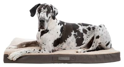 Product image of:TRIXIE VITAL MATRAS BENDSON ORTHOPEDISCH DONKERBRUIN / BEIGE