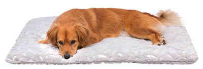 Product image of:TRIXIE LIGMAT FEATHER ZILVER / GRIJS