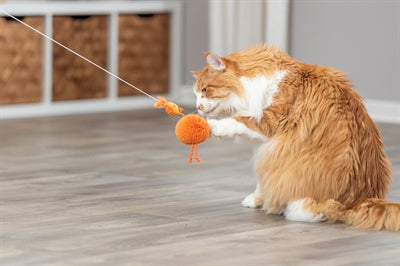 Product image of:TRIXIE KIP AAN ELASTISCH KOORD PLUCHE MET CATNIP