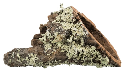 Product image of:TRIXIE KURKTUNNEL