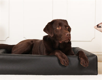 Product image of:BIA BED HONDENMAND ORIGINAL SQUARE ZWART