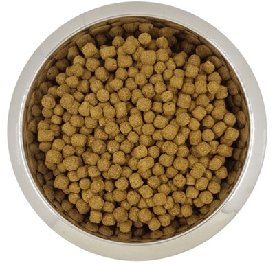 Product image of:YOURDOG DWERG- OF TOYPOEDEL SENIOR