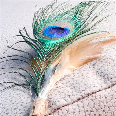 Product image of:CROCI EUPHORIA KATTENHENGEL MATATABI PAUWENVEER