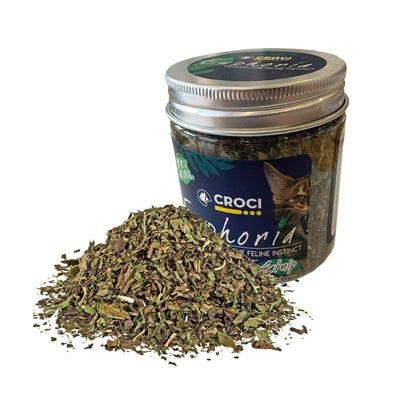 Product image of:CROCI EUPHORIA CATNIP POT