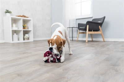 Product image of:TRIXIE DOG ACTIVITY SNUFFELBAL