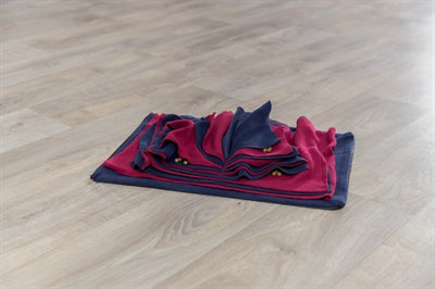 Product image of:TRIXIE DOG ACTIVITY SNUFFELBOEK