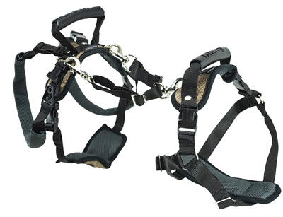 Product image of:PETSAFE CARELIFT VOOR EN ACHTER