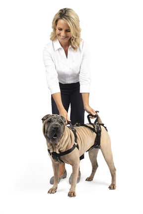 Product image of:PETSAFE CARELIFT VOOR EN ACHTER