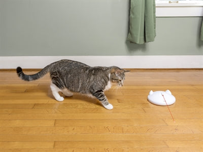 Product image of:PETSAFE ZIP