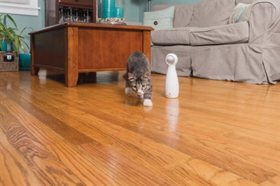 Product image of:PETSAFE BOLT