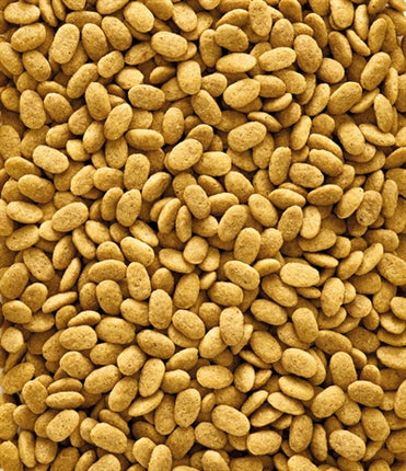 Product image of:NUTRIBIRD P15 ORIGINAL ONDERHOUDSVOEDER