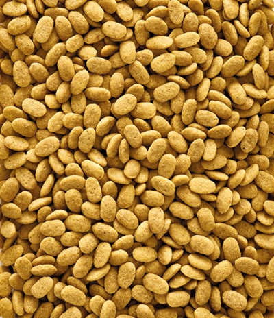 Product image of:NUTRIBIRD P15 ORIGINAL ONDERHOUDSVOEDER