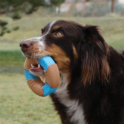 Product image of:KONG CORESTRENGTH BAMBOO BONE
