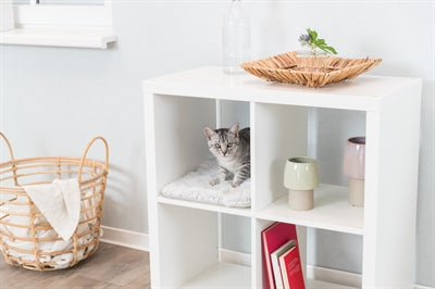 Product image of:TRIXIE LIGMAT HARVEY VOOR KAST WIT-ZWART