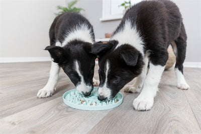 Product image of:TRIXIE JUNIOR LIKPLAAT MINTGROEN