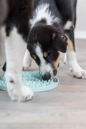 Product image of:TRIXIE JUNIOR LIKPLAAT MINTGROEN