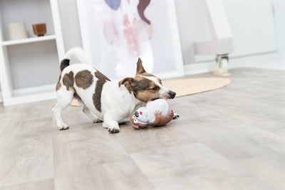 Product image of:TRIXIE HOND LATEX ASSORTI