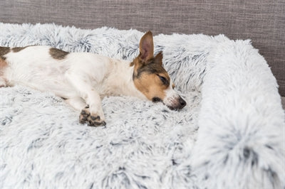 Product image of:TRIXIE SOFA BED HARVEY MEUBELBESCHERMER HOEKIG WIT / ZWART