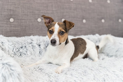 Product image of:TRIXIE SOFA BED HARVEY MEUBELBESCHERMER HOEKIG WIT / ZWART