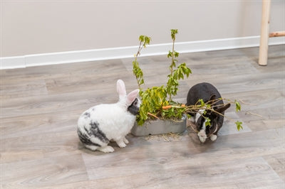 Product image of:TRIXIE VOEDERRUIF KERAMIEK / HOUT GRIJS