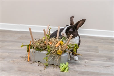 Product image of:TRIXIE VOEDERRUIF KERAMIEK / HOUT GRIJS