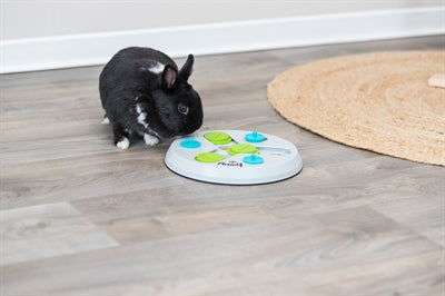 Product image of:TRIXIE SLIDE&FUNBOARD KUNSTSTOF