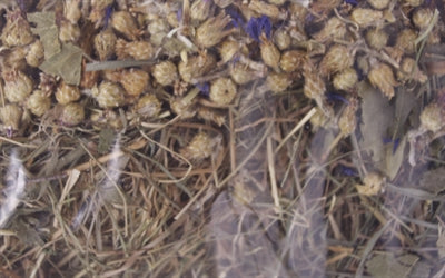 Product image of:EXCELLENT KRUIDENHOOI KORENBLOEM EN BERKENBLAD