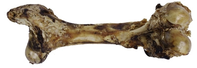 Product image of:PETSNACK DINOBOT XXL