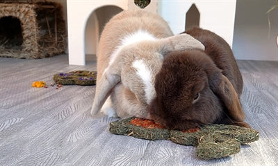 Product image of:ROSEWOOD NATURALS CARROT 'N' FORAGE BUNNY