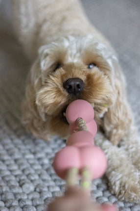 Product image of:ROSEWOOD TOUGH TWIST RUBBER MET TOUW BBQ SMAAK