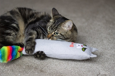 Product image of:ROSEWOOD MOODY MOGGY REGENBOOG KICKER