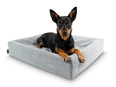Product image of:BIA BED RIB HOES VOOR HONDENMAND BLAUW