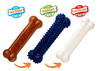 Product image of:NYLABONE PUPPY CHEW PUPPY STARTER KIT CHICKEN
