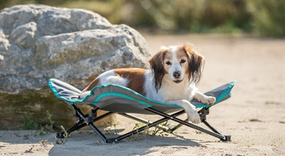Product image of:TRIXIE STRETCHER VOOR HOND DONKERGRIJS / PETROL
