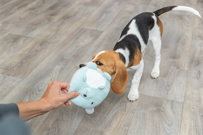 Product image of:TRIXIE PLUCHE BEER MINTGROEN VOOR PUPPY