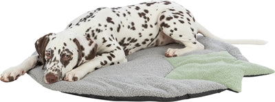 Product image of:TRIXIE PUPPY LIGMAT STER GRIJS / MINTGROEN