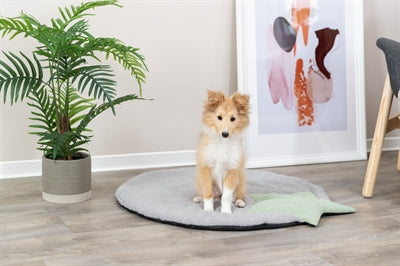 Product image of:TRIXIE PUPPY LIGMAT STER GRIJS / MINTGROEN