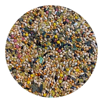 Product image of:UTOPIA TROPISCHE VOGELS TOP QUALITY