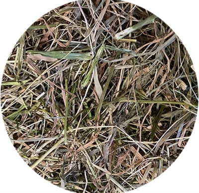 Product image of:UTOPIA TIMOTHY HOOI MET PETERSELIE