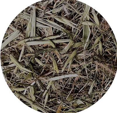 Product image of:UTOPIA TIMOTHY HOOI MET GROENE HAVER