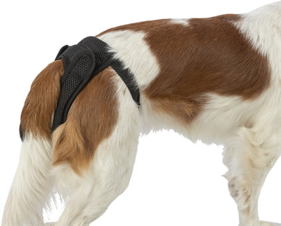 Product image of:TRIXIE BESCHERMBROEKJE COMFORT MESH MATERIAAL ZWART