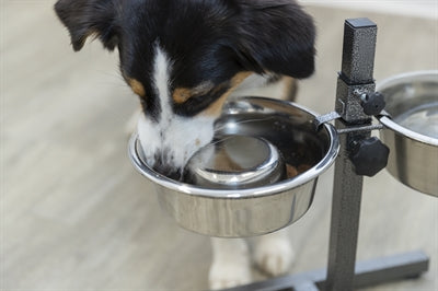 Product image of:TRIXIE VOERBAK HOND SLOW FEEDING RVS