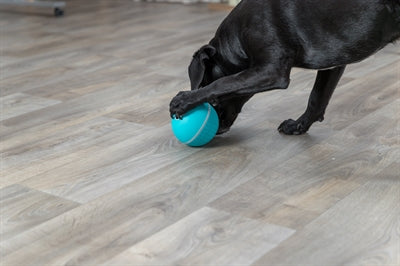 Product image of:TRIXIE SNACKBAL HOND KUNSTSTOF / TPR BLAUW