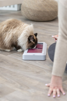 Product image of:TRIXIE ACTIVITEITENSPEELGOED ROD BOARD VOOR KATTEN KUNSTSTOF