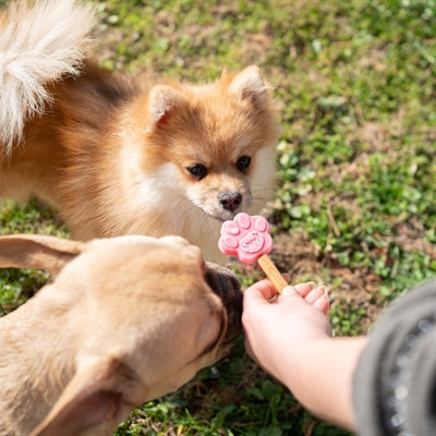 Product image of:SMOOFL IJSMAL