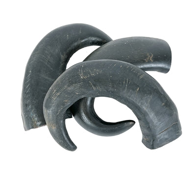 Product image of:PETSNACK HOORN TIP