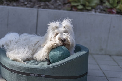 Product image of:TRIXIE CITYSTYLE BE ECO HONDENSPEELGOED BAL MET TOUW STOF GERECYCLED