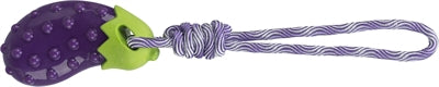 Product image of:TRIXIE HONDENSPEELGOED AUBERGINE AAN KOORD TPR